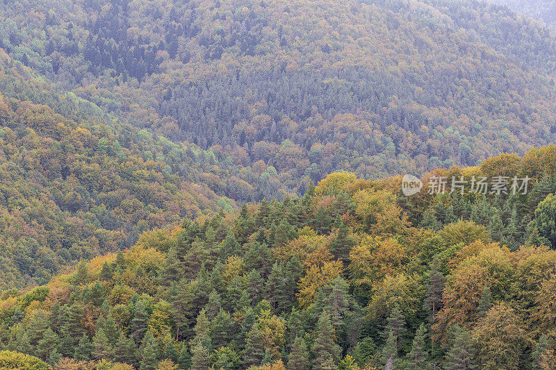 Rhodope Mountain